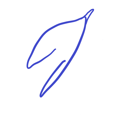 Phoenix Energy Solution  logo