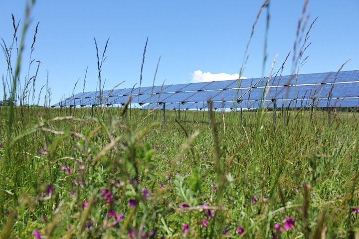 Island Community Solar