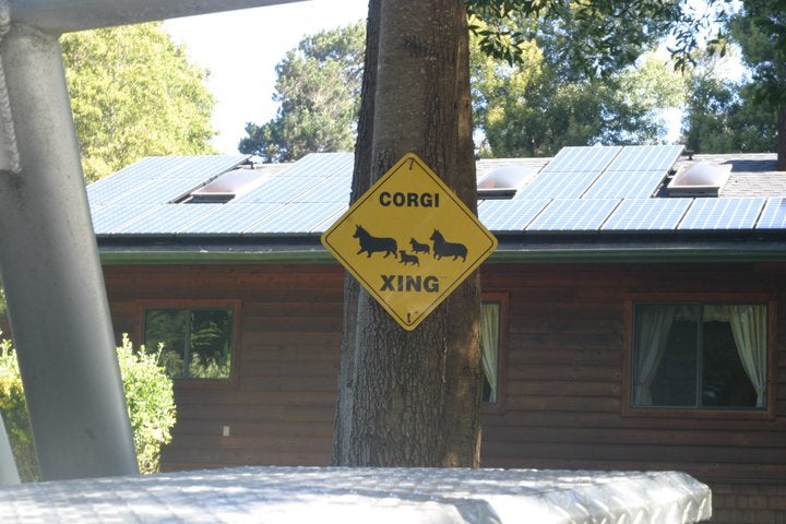 6,210 Watt SunPower/Mendocino Solar Service system + Corgi Xing