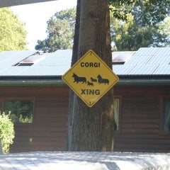 6,210 Watt SunPower/Mendocino Solar Service system + Corgi Xing