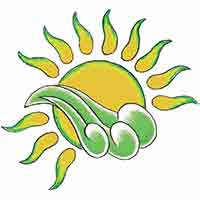 411GreenWave logo