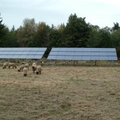 This solar system produces 9200 Watts and shelter for the flock