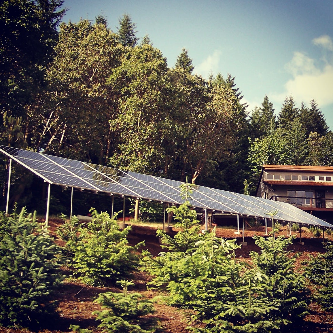 Ground Mounted Solar World System