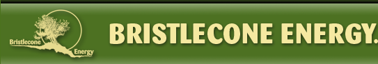 Bristlecone Energy logo