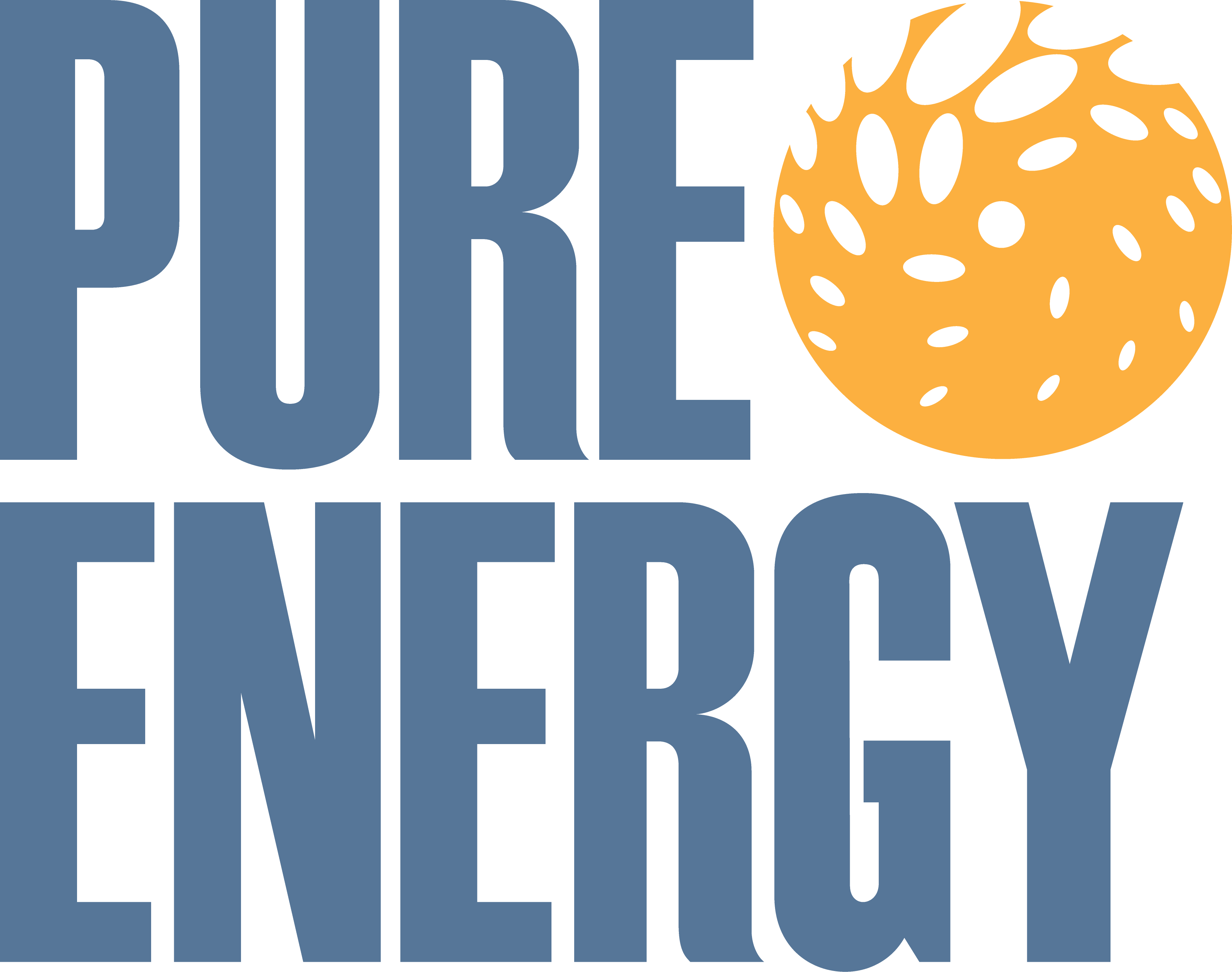 Pure Energy Solar (FL) logo