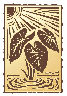 Hawaiian Energy logo