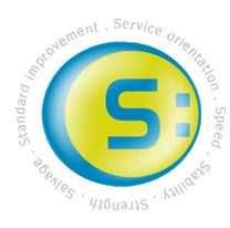 S:FLEX logo