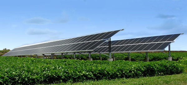 Array in Bean field