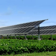Array in Bean field