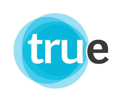 True Enterprises LLC logo