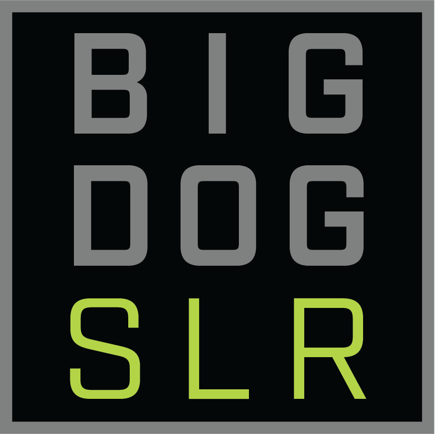 Big Dog Solar Energy logo