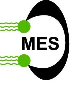 Mechanical Energy Systems logo