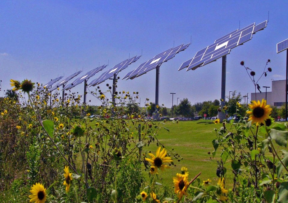 Applied Materials Solar Sunflowers