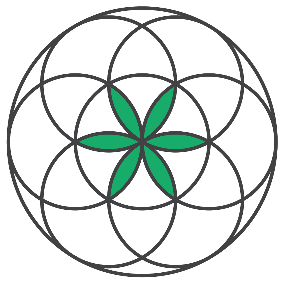Limitless Energy logo