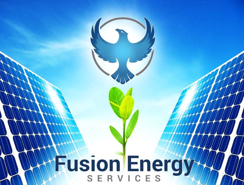 Fusion Energy Services, LLC logo