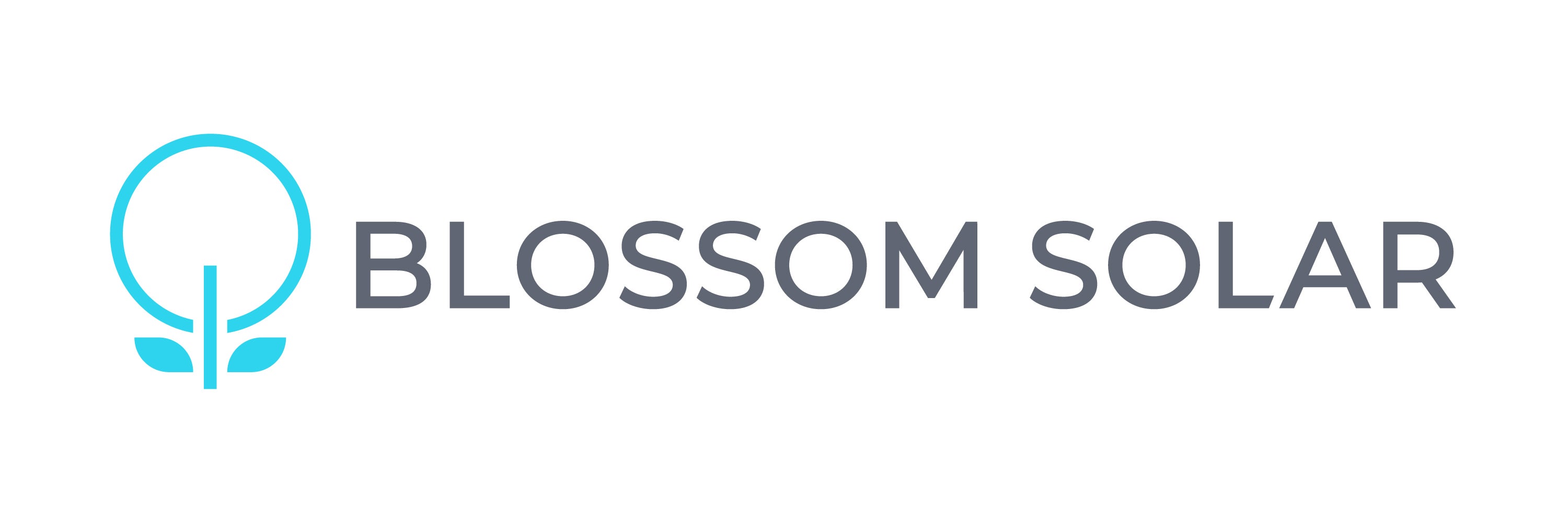 Blossom Solar logo