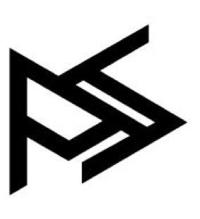 Paseki Strategies Corporation logo