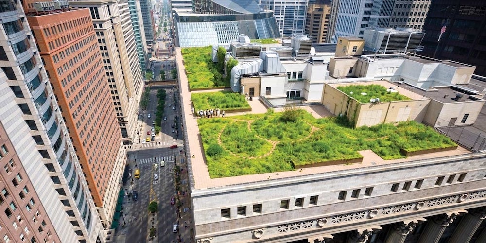 Chicago city hall's green roof