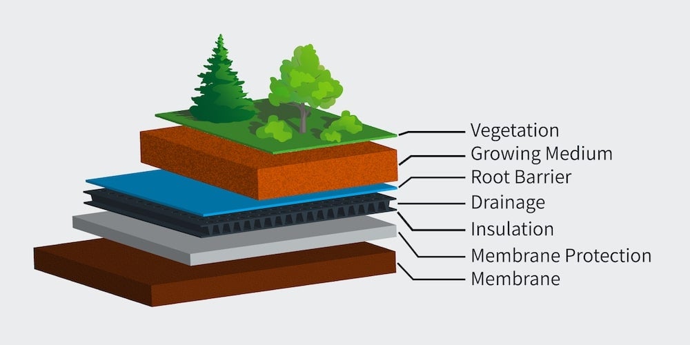 A diagram illustrating the layers of a green roof