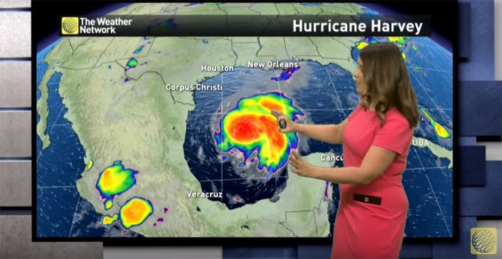 Hurricane Harvey news
