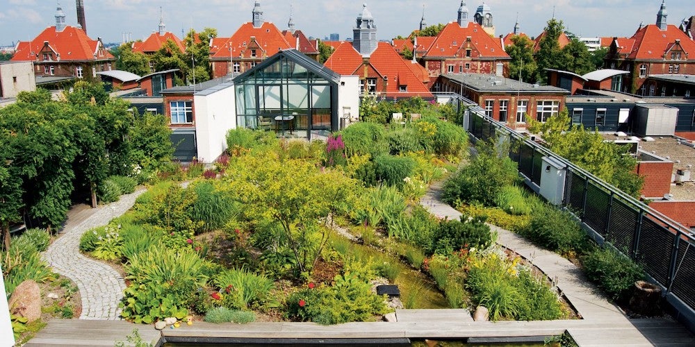 An intensive green roof on a city building