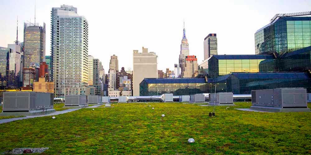 The Javits Center's green roof