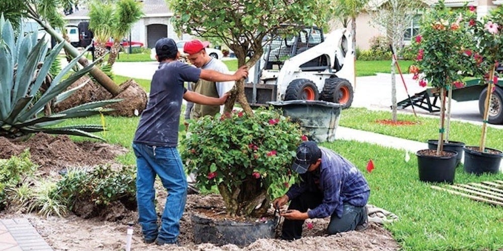 Landscapers working on a front lawn