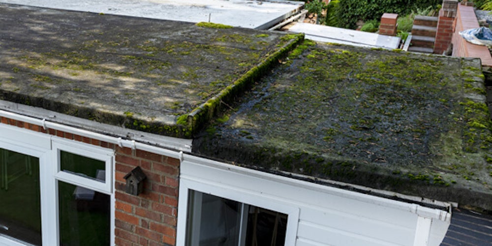 A flat roof covered with mold due to water damage