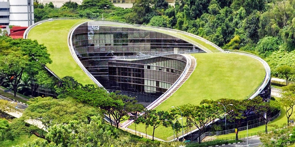 Nanyang Technological University's green roof
