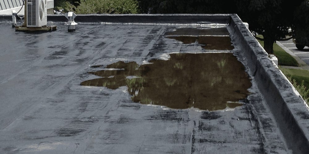 A collection of standing water, known as ponding, on a flat roof