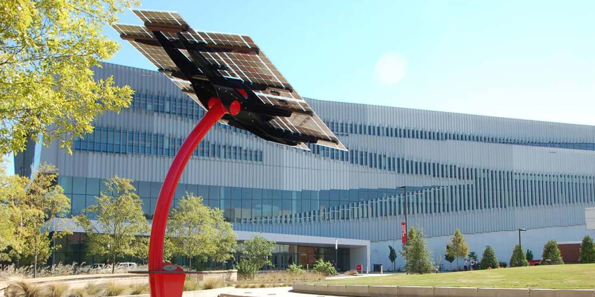 Solar trees: Your guide to this fast-growing solar trend