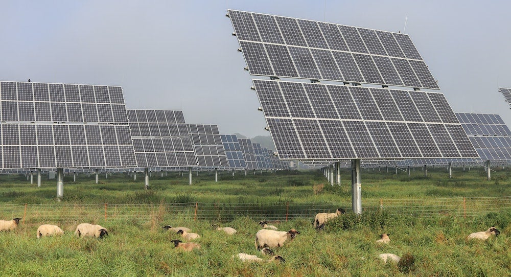 Agrivoltaics solar panels on a farm