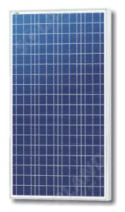 Solarland SLP020-24U Silver Poly 24 Volt Solar Panel