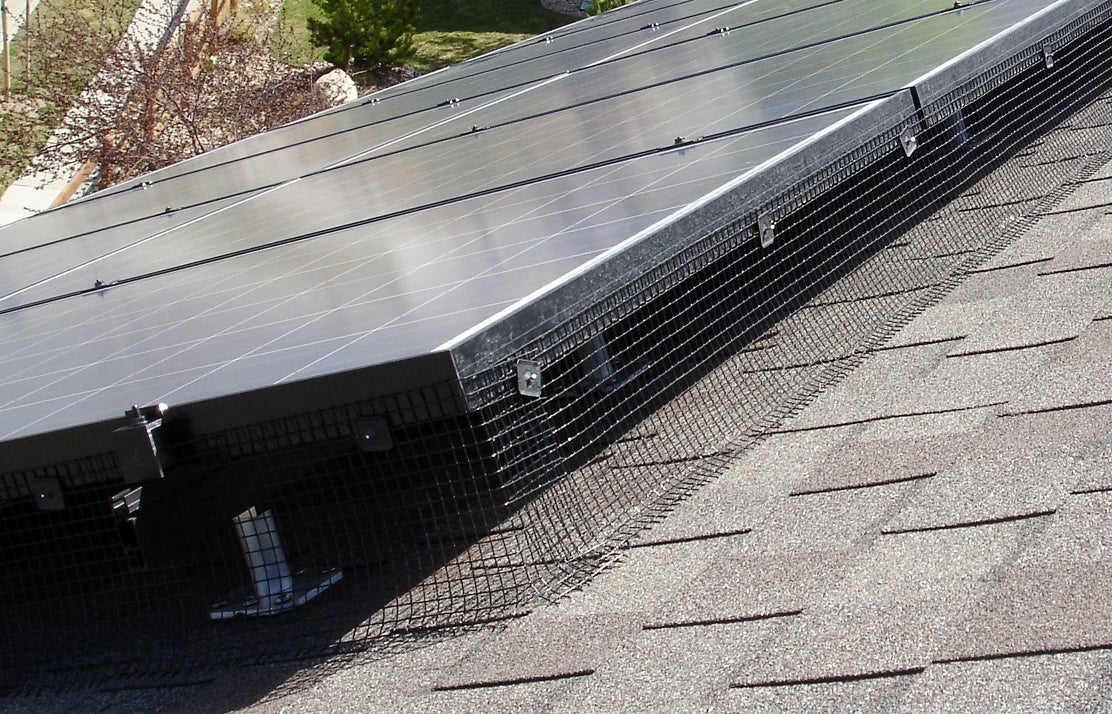 Rodents Wreak Havoc on Rooftop Solar